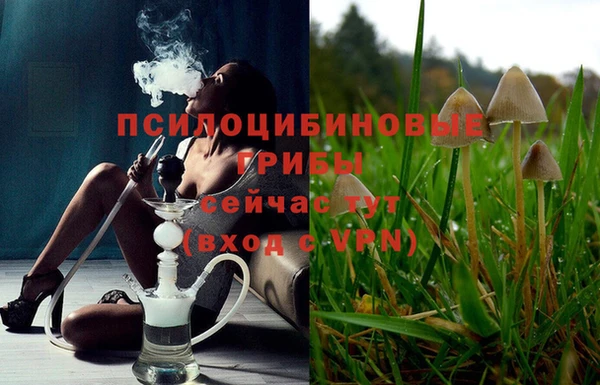 стаф Богородицк
