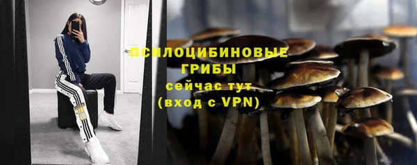 Альфа ПВП Богданович