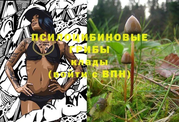 стаф Богородицк
