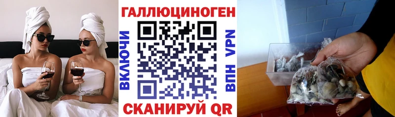 Псилоцибиновые грибы GOLDEN TEACHER  продажа наркотиков  Балтийск 